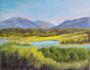 Columbia Valley Wetlands in Spring