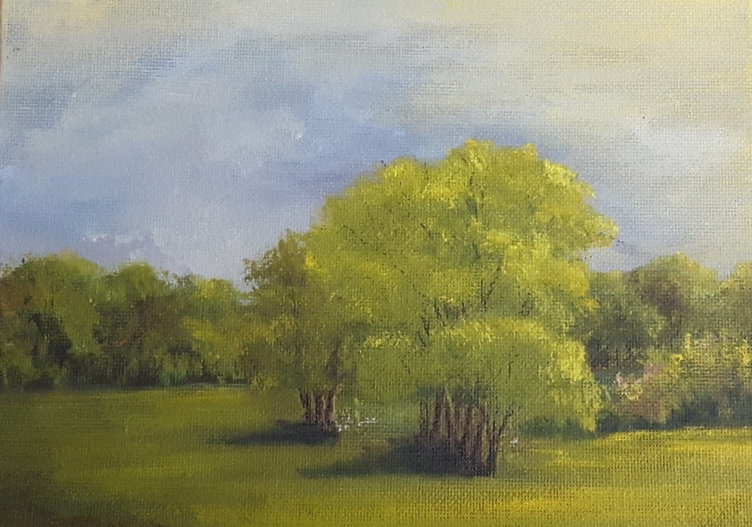 I See Trees of Green