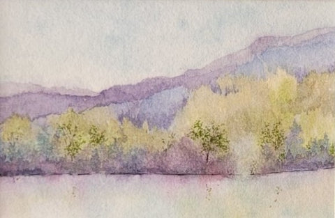 Spring Reflections