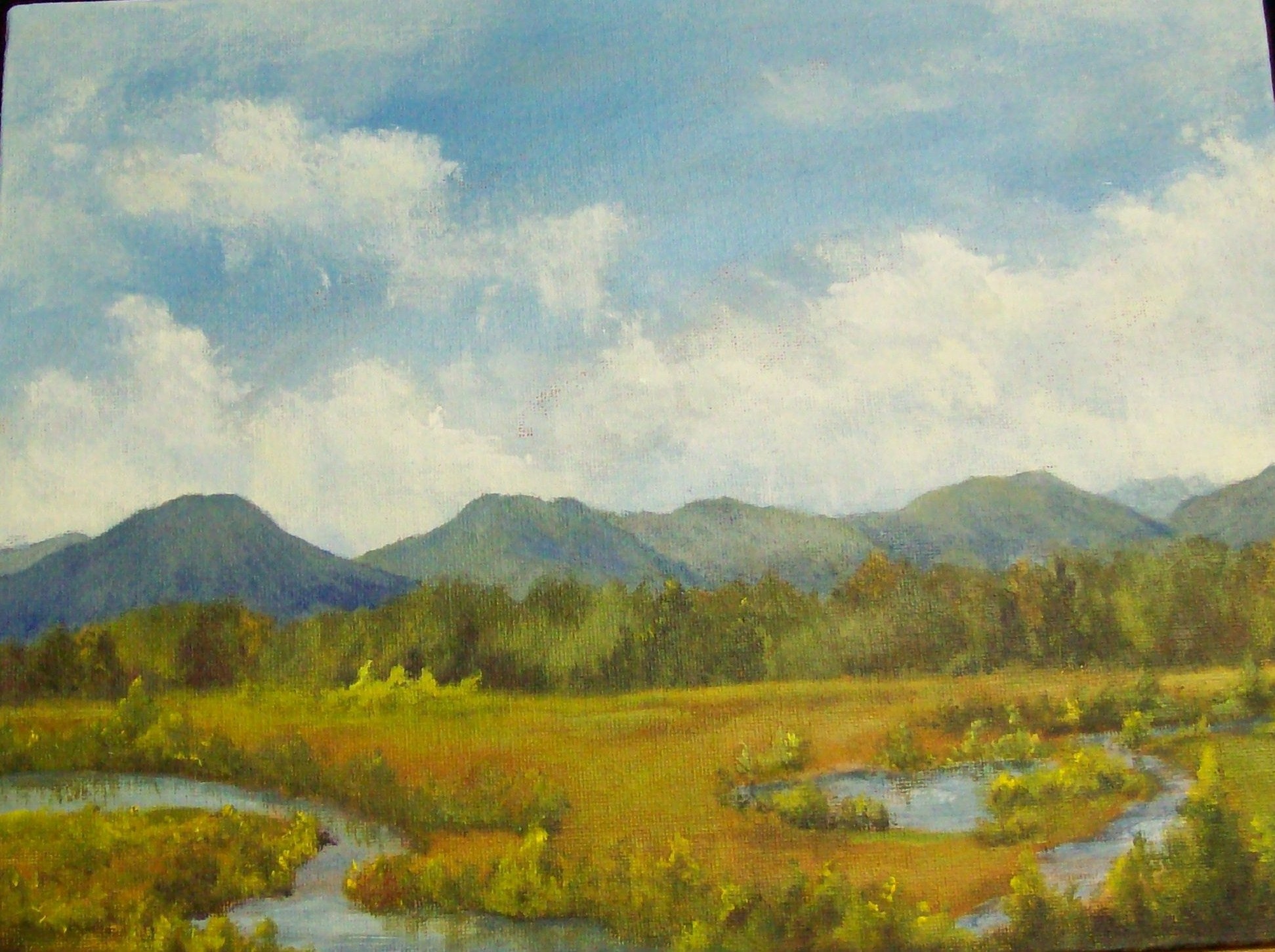 Wetlands View (2015)