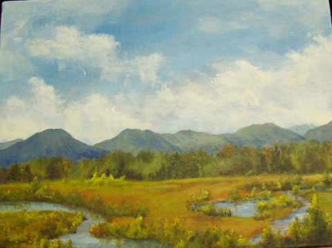 Wetlands View (2015)